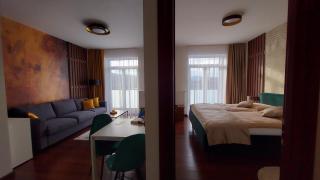 Apartment Moser 1303 - Karlovy Vary - 2