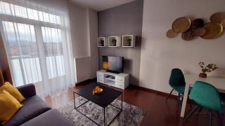 Apartment Moser 1303 - Karlovy Vary - 4