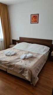 Luxury Apartment in Belvedere Club Hotel - Bansko - 4