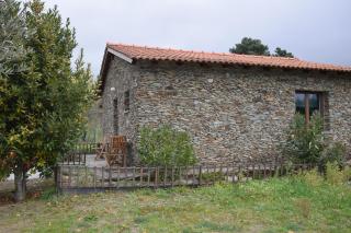A Casa da Sofia - Vila Real - 0