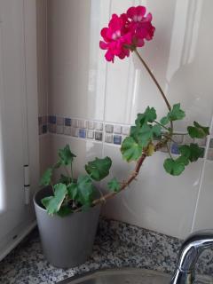 Apartamento Puerto de Foz - Foz - 3