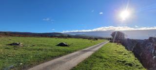 Bryn Y Bwyd Farm House - 8