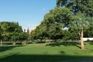 Parque Central - 1