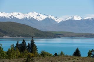 Silver Fern - Lake Tekapo - 8