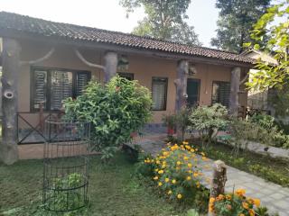 Travellers Jungle Camp-Sauraha - Sauraha - 6