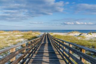The Sand & Surf Beach House A - Gulf Shores - 8