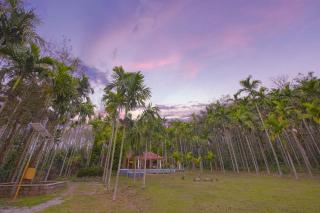 StayVista at Tall Silver with Infinity Pool & Breakast - Madikeri - 6