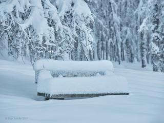 Haus Lorea Ehrwald - 8