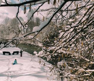 Ostoja nad potokiem Dwernik - 5