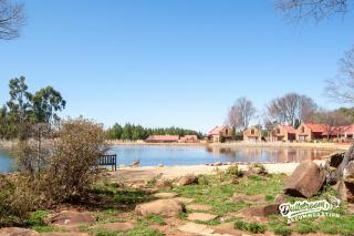 Critchley Hackle - Dullstroom - 3