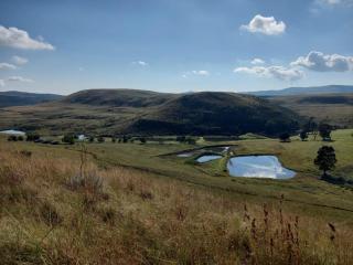 Wetlands Game Lodge - Wakkerstroom - 9