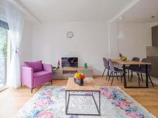 Apartmani Šišarka - 0