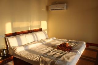 Agonda Wellness - Agonda - 2