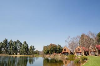 Critchley Hackle - Dullstroom - 1