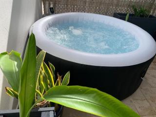 Canne à sucre Martinique, résidence naturiste - 8