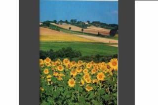 CASA LELLA Monte San Pietrangeli - 2