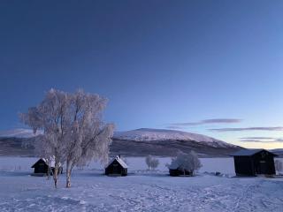 Arctic Land Adventure Glass Igloos - 1