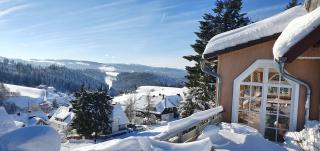 Landhaus-Apartment Feldbergblick - Sankt Märgen - 9
