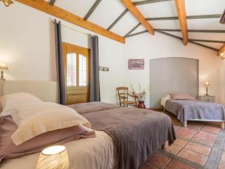 Belle maison rénovée au cœur des vignes entre Nantes et Clisson, jardin privatif, wifi inclus - FR-1-306-799 - La Haie-Fouassière - 7