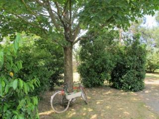 Maison calme de campagne avec jardin clos, jeux pour enfants et vélos à proximité de Châteaubriant - FR-1-306-902 - Moisdon-la-Rivière - 1
