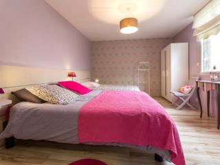 Gîte paisible avec grand jardin près du lac, ping-pong, vélo, climatisation, proche de Nantes et plages - FR-1-306-1056 - Saint-Philbert-de-Grand-Lieu - 6