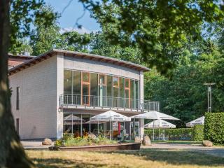 Ferienpark Plauer See - Alt Schwerin - 9