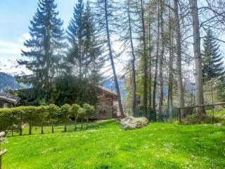 Apartment Entremont 60 by Interhome - Verbier - 0