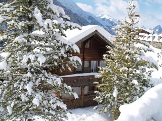 Chalet Höfli by Interhome - Jaun - 0