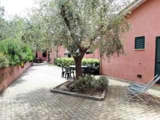 Apartment Elbamar Lacona I-3 by Interhome - Capoliveri - 0