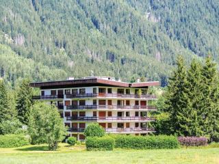 Apartment Le Bois du Bouchet-1 by Interhome - 9