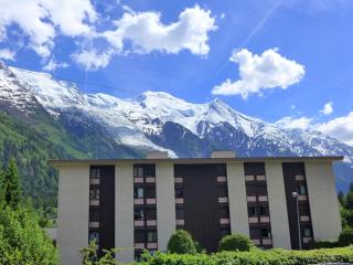 Studio Arve 1 et 2-3 by Interhome - Chamonix - 1