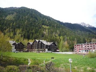 Apartment Clos du Savoy-15 by Interhome - Chamonix-Mont-Blanc - 1