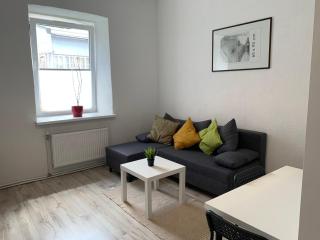 Triada apartament near the park and river Daugava - 9