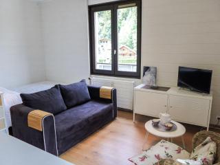 Apartment Le Cristal des Glaces by Interhome - Chamonix - 8