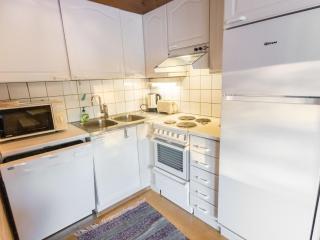 Holiday Home Tunturinvieri k3 by Interhome - Ylläsjärvi - 7