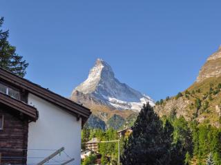 Apartment Lani by Interhome - Zermatt - 0