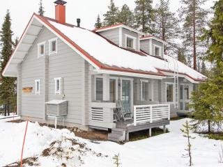 Holiday Home Ylläsröhkö d 8 by Interhome - Äkäslompolo - 9