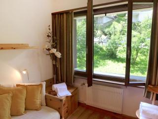 Apartment Chesa Arlas D2 by Interhome - Sankt Moritz - 5