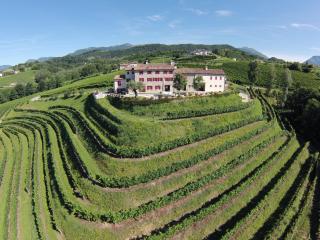 Agriturismo Althea - Vittorio Veneto - 8