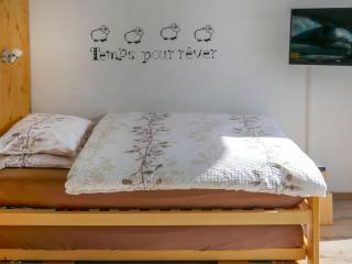 Studio Rosablanche D13 by Interhome - Siviez - 3
