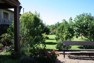 Casa Rural Luna - Candeleda - 4