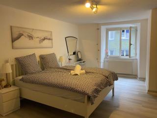 Private Studio Apartment in Bremgarten - Bremgarten - 9