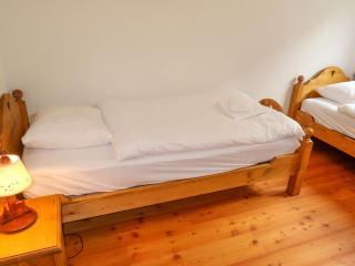 Apartment Rosablanche E 107 by Interhome - Siviez - 6