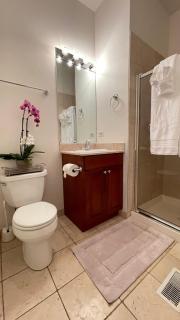 Amazing 3BR 3 BA Property in Chicago - 4