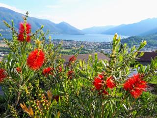 Apartment Vista Panorama by Interhome - Locarno - 1