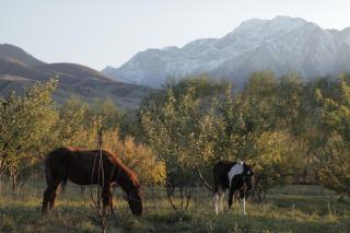 Barskoon Guest House - 2