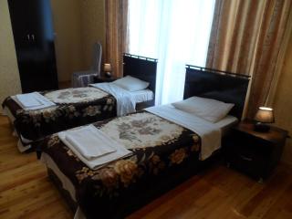 Jahongir B&B Tashkent - Tachkent - 6