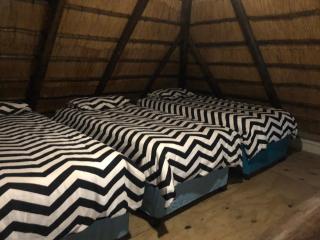 Best view family loft - Oranjeville - 5
