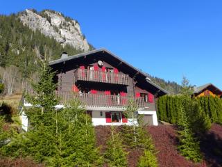 Chalet le Jet d'Eau 19 by Interhome - Châtel - 0