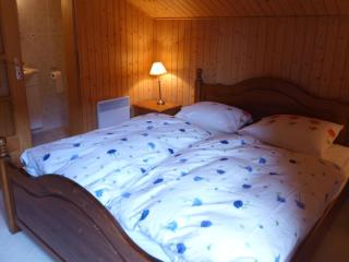 Chalet le Jet d'Eau 19 by Interhome - Châtel - 1
